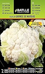 Semillas batlle chou d'occasion  Livré partout en France