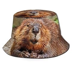 Cute funny beaver for sale  Delivered anywhere in USA 