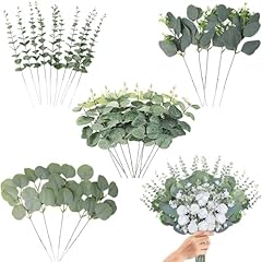 Fenyuan eucalyptus stems for sale  Delivered anywhere in USA 