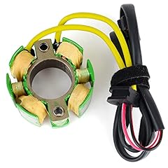 Teram loisirs stator usato  Spedito ovunque in Italia 