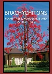 Brachychitons flame trees usato  Spedito ovunque in Italia 