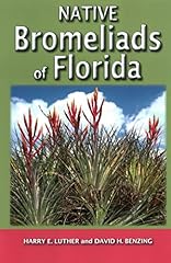 Native bromeliads florida for sale  Delivered anywhere in USA 