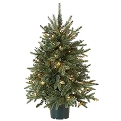 National tree company for sale  Delivered anywhere in USA 