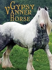 Gypsy vanner horse for sale  Delivered anywhere in UK