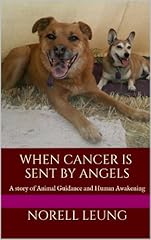 Cancer sent angels for sale  Delivered anywhere in UK