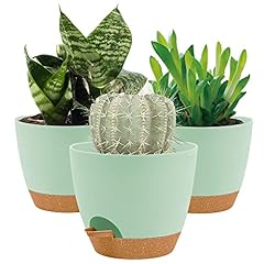 16.5cm plant pots for sale  Delivered anywhere in UK