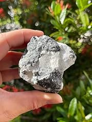 Gaf treasures large for sale  Delivered anywhere in USA 