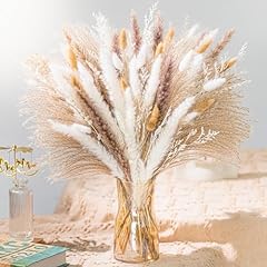 Natural pampas grass for sale  Delivered anywhere in USA 