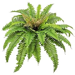 Congfuhepmui artificial fern for sale  Delivered anywhere in USA 