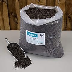 Leagrams niger seed for sale  Delivered anywhere in UK