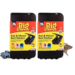 Big cheese rat for sale  Delivered anywhere in UK