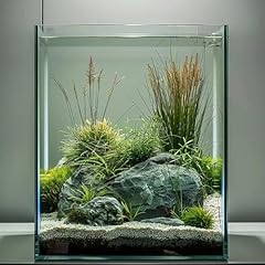 Vimvins gallon glass for sale  Delivered anywhere in USA 