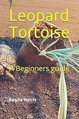 Leopard tortoise beginners for sale  Delivered anywhere in USA 