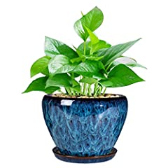 Ceramic Modern Glaze Succulent Planter Pot with Drainage for sale  Delivered anywhere in UK