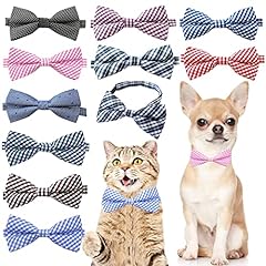 Pet show 10pcs for sale  Delivered anywhere in USA 