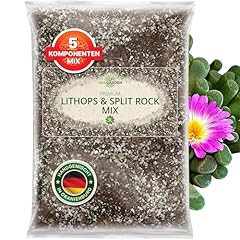 Ragarden lithops split gebraucht kaufen  Wird an jeden Ort in Deutschland