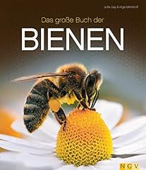 Große buch bienen gebraucht kaufen  Wird an jeden Ort in Deutschland