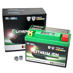 batterie lithium skyrich d'occasion  Livré partout en France