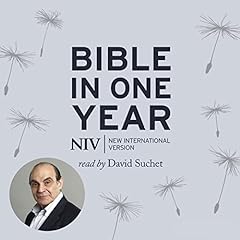 Niv audio bible for sale  Delivered anywhere in UK
