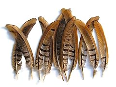 Pheasant feathers reeves for sale  Delivered anywhere in USA 