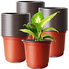 Baaxxango 200 pcs for sale  Delivered anywhere in USA 