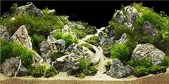 Mirrorang 120x46cm acquario usato  Spedito ovunque in Italia 