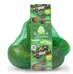 Fresh avocados green for sale  Delivered anywhere in UK