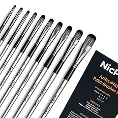 Nicpro vale künstlerpinsel gebraucht kaufen  Wird an jeden Ort in Deutschland