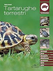 Tartarughe terrestri morfologi usato  Spedito ovunque in Italia 