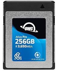 Owc 256gb atlas for sale  Delivered anywhere in USA 
