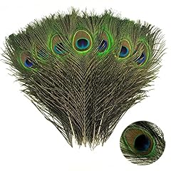 Nhcdfa 16pcs peacock for sale  Delivered anywhere in Ireland