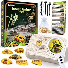 Gobidex amber dig for sale  Delivered anywhere in USA 