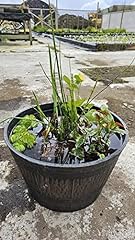 Container pond. pollinator for sale  Delivered anywhere in UK
