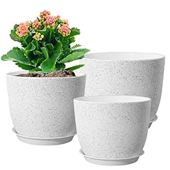 Wsmksz large flower for sale  Delivered anywhere in USA 