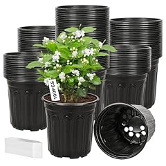 Hemikaki 100 pack for sale  Delivered anywhere in USA 
