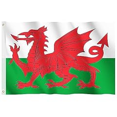 Wales flag hianjoo for sale  Delivered anywhere in UK