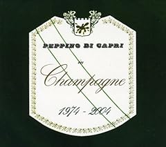 Champagne 1974 2004 usato  Spedito ovunque in Italia 