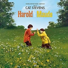 Harold maud usato  Spedito ovunque in Italia 