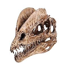 Dinosaur dilophosaurus skull for sale  Delivered anywhere in USA 