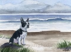 Boston terrier beach for sale  Delivered anywhere in USA 