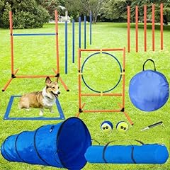 Katzeist agility training for sale  Delivered anywhere in USA 