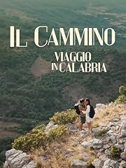 Cammino viaggio in usato  Spedito ovunque in Italia 