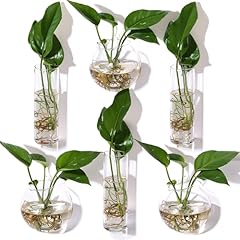 Baderke pcs glass for sale  Delivered anywhere in USA 
