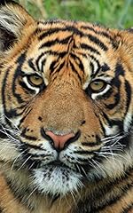 Sumatran tiger notebook d'occasion  Livré partout en France