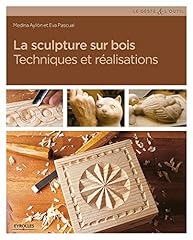 Sculpture bois techniques d'occasion  Livré partout en France