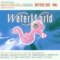 The fficial waterworld gebraucht kaufen  Wird an jeden Ort in Deutschland