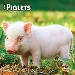 Piglets 2024 inch for sale  Delivered anywhere in USA 