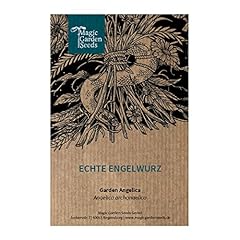 Angélique officinale env. d'occasion  Livré partout en France