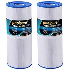 Poolpure spa filter for sale  Delivered anywhere in UK