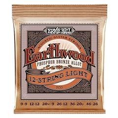 Ernie ball earthwood usato  Spedito ovunque in Italia 